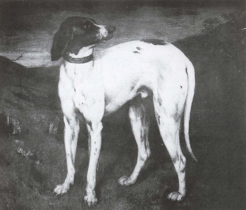 Gustave Courbet Dog